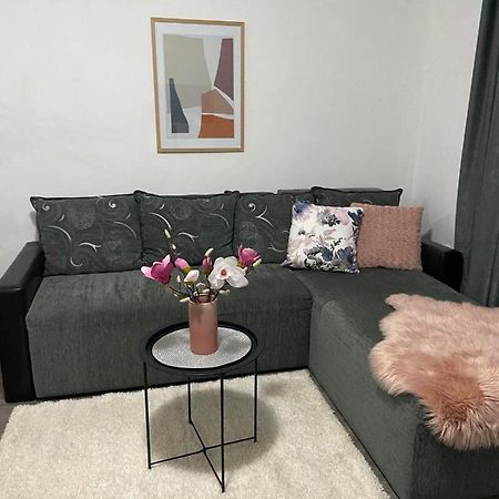 Apartman Aleksic Ягодина Екстер'єр фото