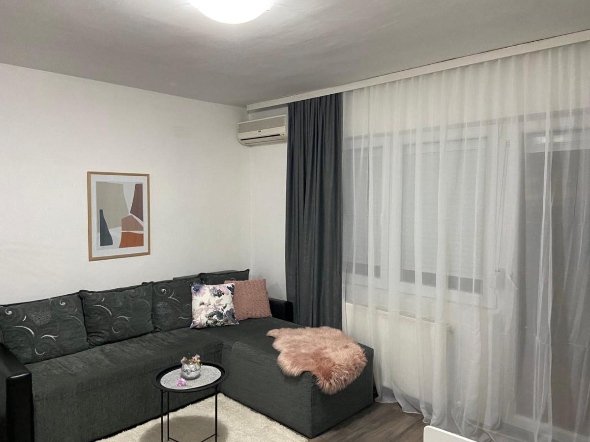 Apartman Aleksic Ягодина Екстер'єр фото