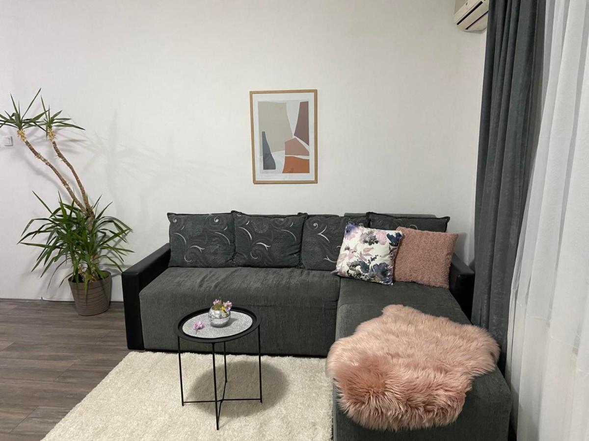 Apartman Aleksic Ягодина Екстер'єр фото